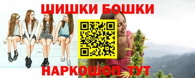 индика Нальчик