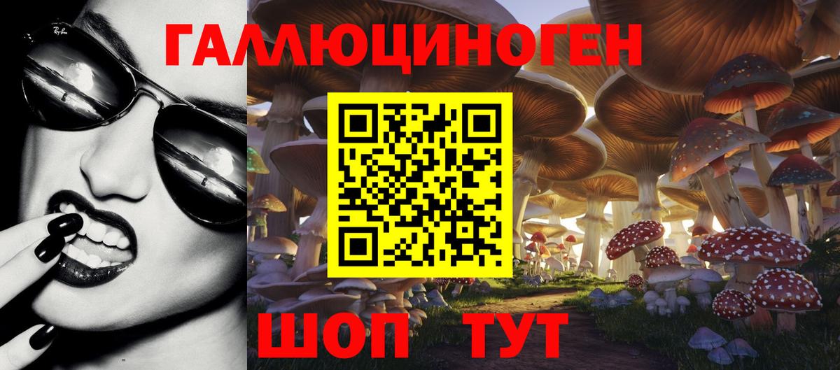 Галлюциногенные грибы мухоморы Балтийск