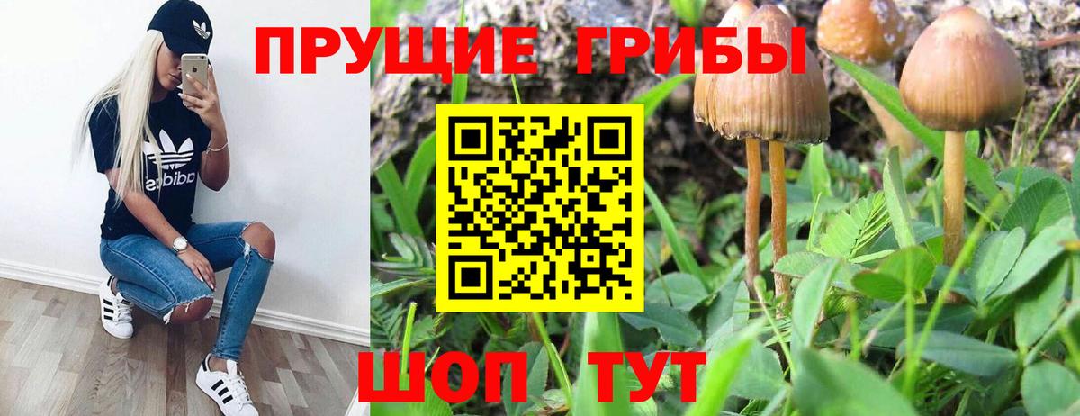 Псилоцибиновые грибы мухоморы  Галлюциногенные грибы прущие грибы  Вход с VPN  Балтийск 