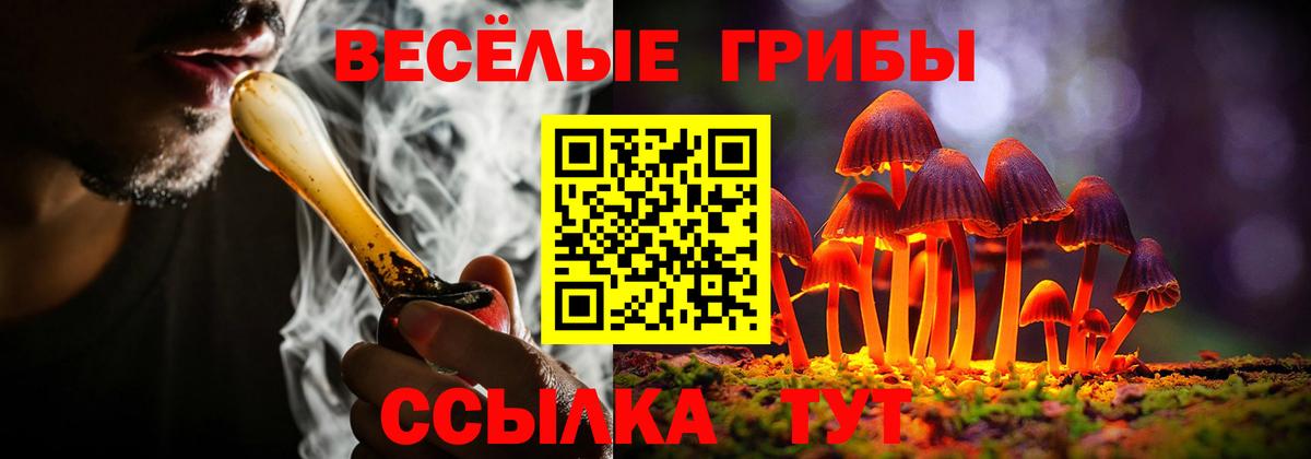 ГАШ  Вход с VPN  А ПВП СОЛЬ   ГАШ  Мефедрон   Балтийск  МЕТАМФЕТАМИН  Конопля  Где найти наркотики?  Вейп ТГК 